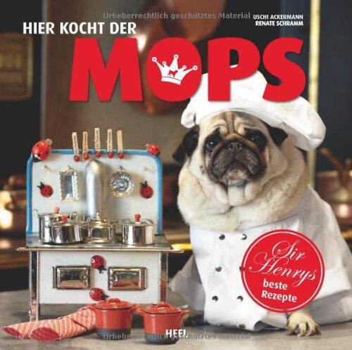 Uschi Ackermann - Hier kocht der Mops: Sir Henrys beste Rezepte - Preis vom 04.10.2026 03:51:26 h