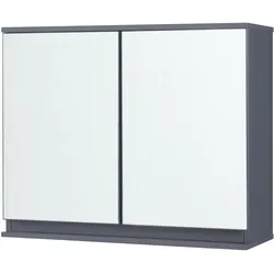 En.Casa, Spiegelschrank, Spiegelschrank Overath 60x20x50 cm Grau (60 x 20 x 49.50 cm)