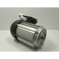Holzstar Motor FKS 250,255-1300 / 230V