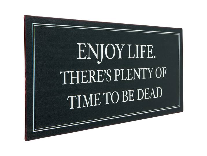 Metall Schild 30x13 cm Enjoy Life