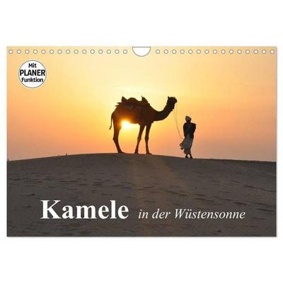 Kamele in der Wüstensonne (Wandkalender 2027 DIN A4 quer), CALVENDO Monatskalender