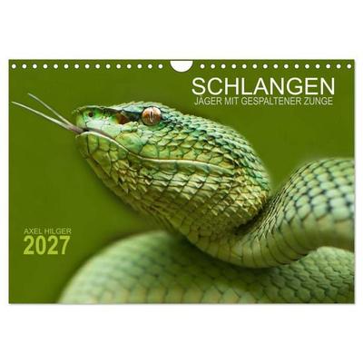 SCHLANGEN. JÄGER MIT GESPALTENER ZUNGE (Wandkalender 2027 DIN A4 quer), CALVENDO Monatskalender