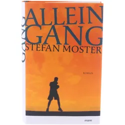 Buch Alleingang Stefan Moster