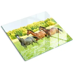 GLASPLATTE 60x52 cm Galoppierende Pferde
