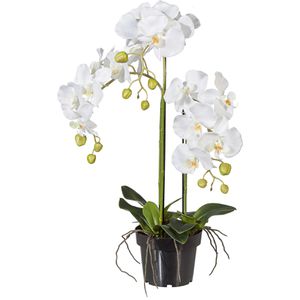 Creativ-green Kunstblume Orchidee, Phalaenopsis, weiß, im Topf, Höhe 62 cm