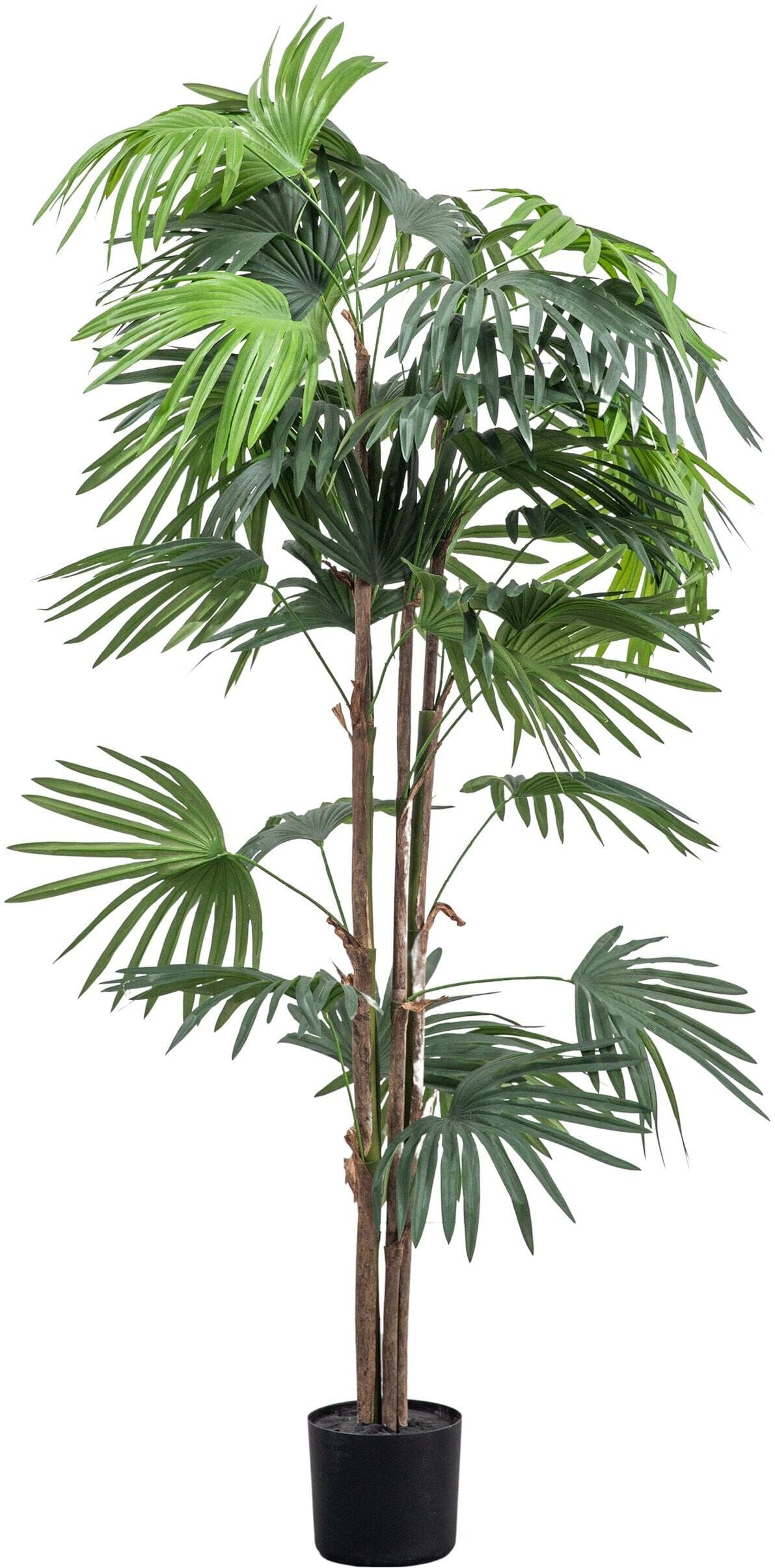 Large Faux Chinese Fan Palm Tree