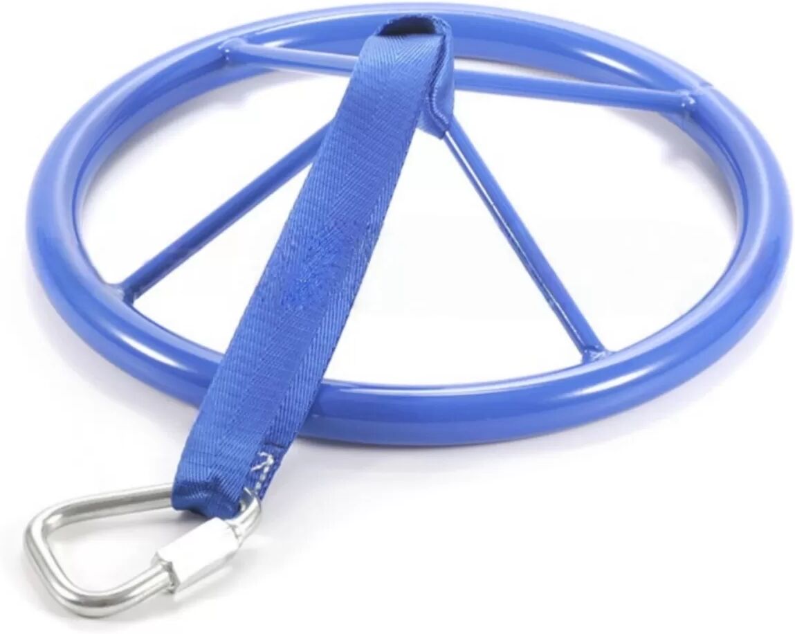 INF Hängescheibe (Φ27CM) - Blaue Eisen-Rotationsscheibe als Ninja Wheel für Griff-, Handgelenk- und Rumpfkrafttraining