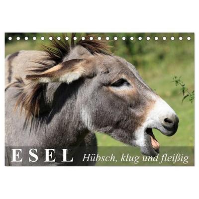 Esel - hübsch, klug und fleißig (Tischkalender 2026 DIN A5 quer), CALVENDO Monatskalender