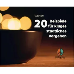 20 Beispiele für kluges staatliches Vorgehen, Fachbücher von Lucia Oiro, David Gaedt