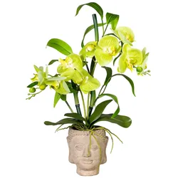 CREATIV green künstliche Pflanze Orchideen-Bambus Arrangement x2, ca 60cm, grün, Real Touch, im Zementtopf Buddha