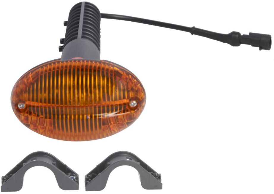 Blinkerleuchte Seite TRUCKLIGHT CL-IV013L