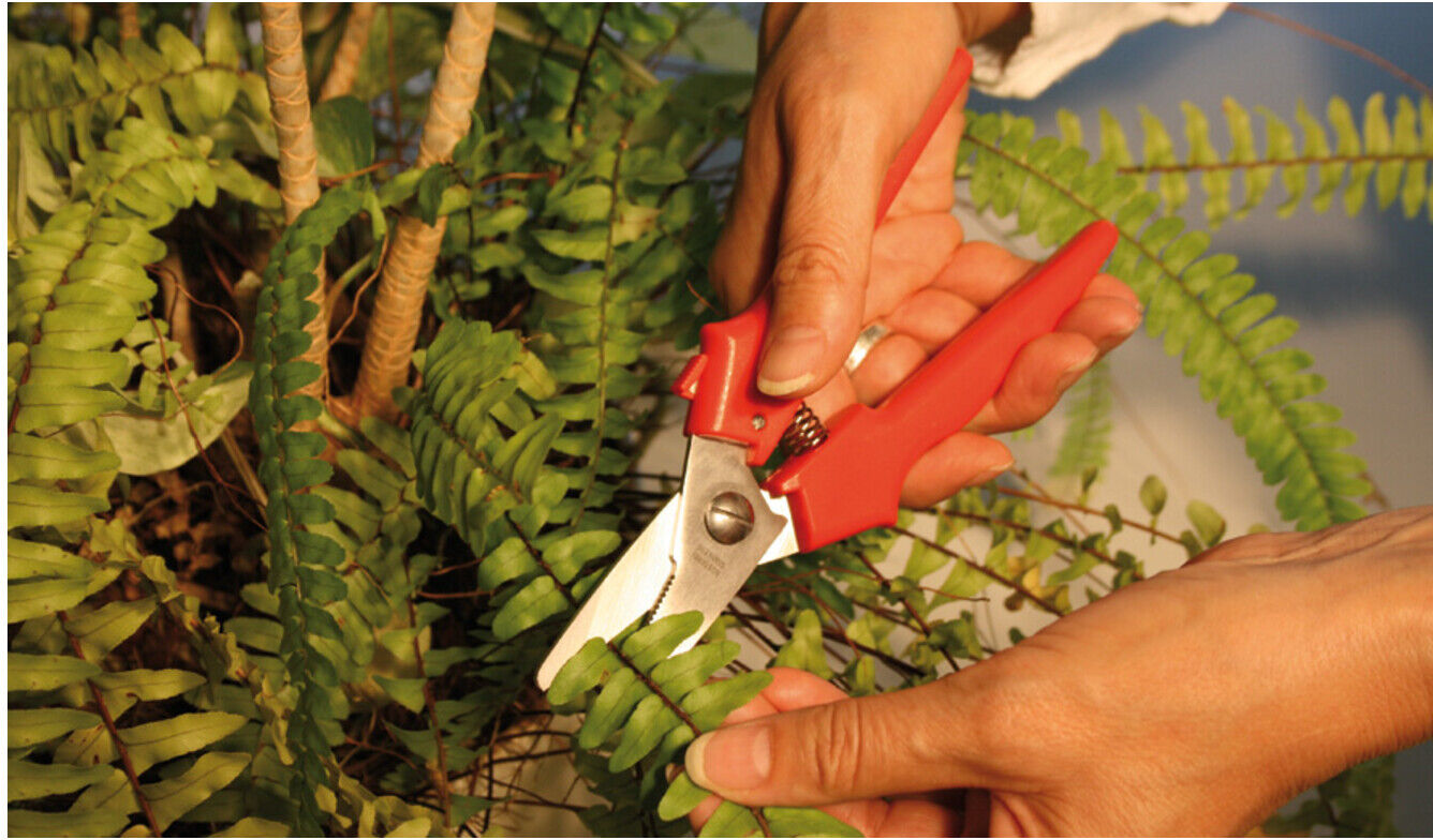 Bessey Combi-Schere gerade D48)
