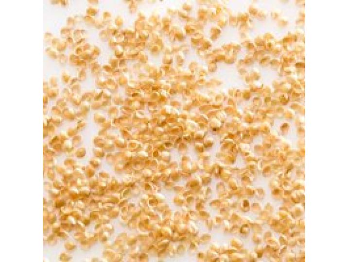 Oreiller ferme en millet biologique