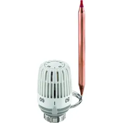 Thermostat-Kopf K mit Anlege-bzw Tauchfühler, 40-70 Grad C