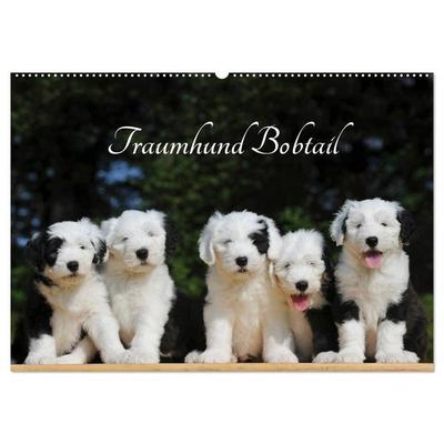 Traumhund Bobtail (Wandkalender 2027 DIN A2 quer), CALVENDO Monatskalender