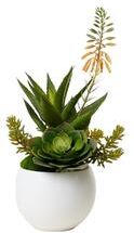 Jenny Silks Agave Succulent Arrangement in White Ceramic Sphere - Green