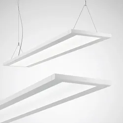 Trilux LED-Anbau/Pendel-Leuchte 4000K DALI Luceos D/H2 #7017751