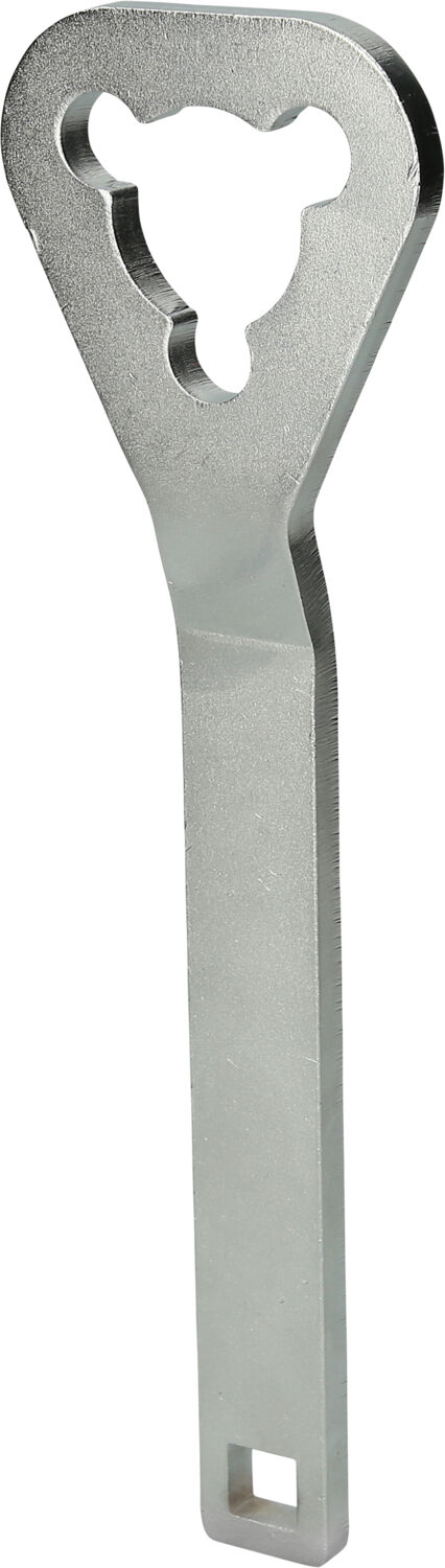 Brilliant Tools Arretierdorn, Wasserpumpe Wasserpumpen-Riemenscheiben-Halteschlüssel Bt526007