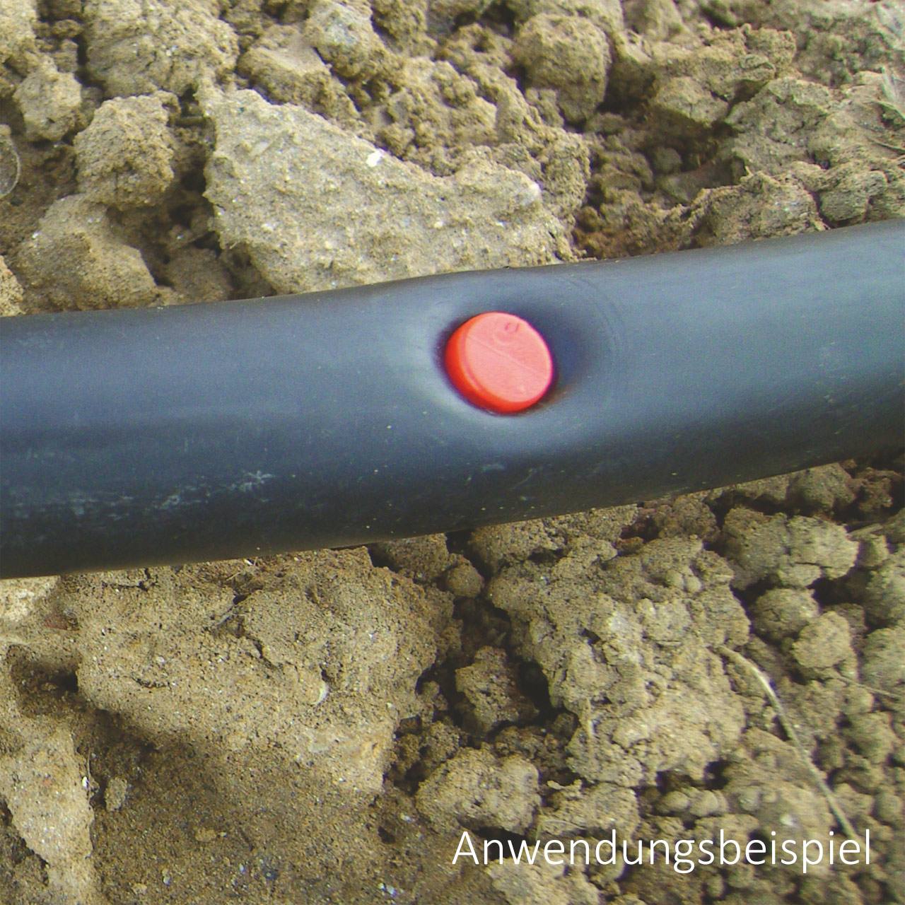 REKUBIK 10x Stopfen Plug Stachel 6mm 3059/1006