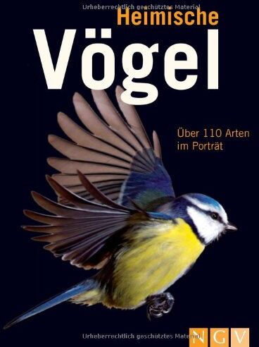 Dr. Jochen Dierschke - Heimische Vögel: Über 110 Arten im Porträt - Preis vom 09.10.2026 07:28:09 h