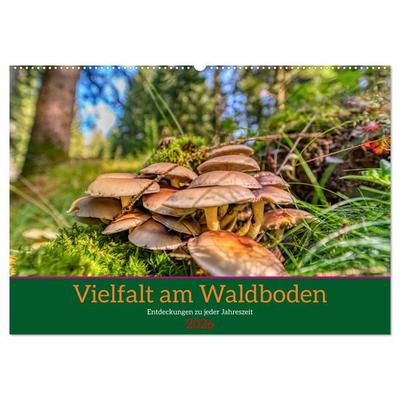 Vielfalt am Waldboden (Wandkalender 2026 DIN A2 quer), CALVENDO Monatskalender