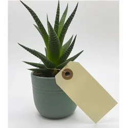 Agipa Gep„ckanh„nger, 80 x 38 mm, neutral, mit Draht, Reisezubehör, Beige