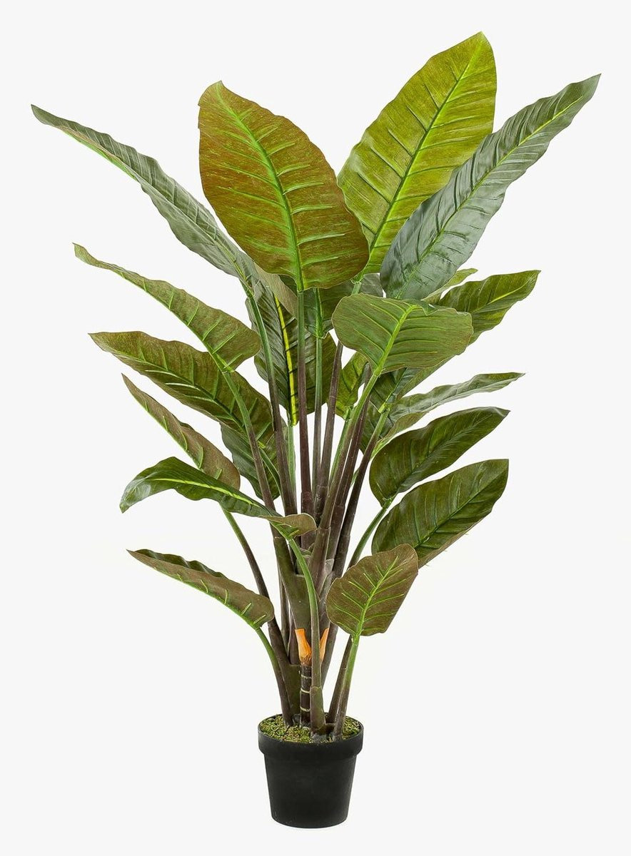 Kunstplant Strelitzia Paradijsvogelbloem - Groen - Hoogte: 135 cm
