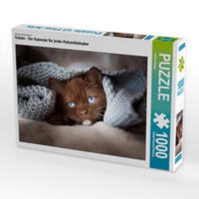 CALVENDO Puzzle Katzen - Der Kalender für jeden Katzenliebhaber 1000 Teile Lege-Größe 64 x 48 cm Foto-Puzzle Bild von Janina Bürger