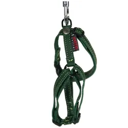 Martin Sellier Reg Nature (Hund, Spazieren), Halsband + Leine