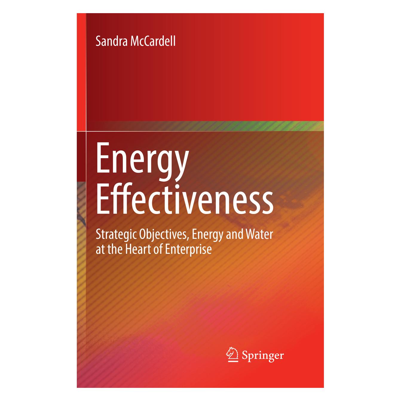 Springer Energy Effectiveness (Englisch, Softcover, Sandra McCardell) (56077242)