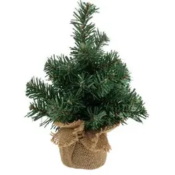 Tannenbaum, 25 cm