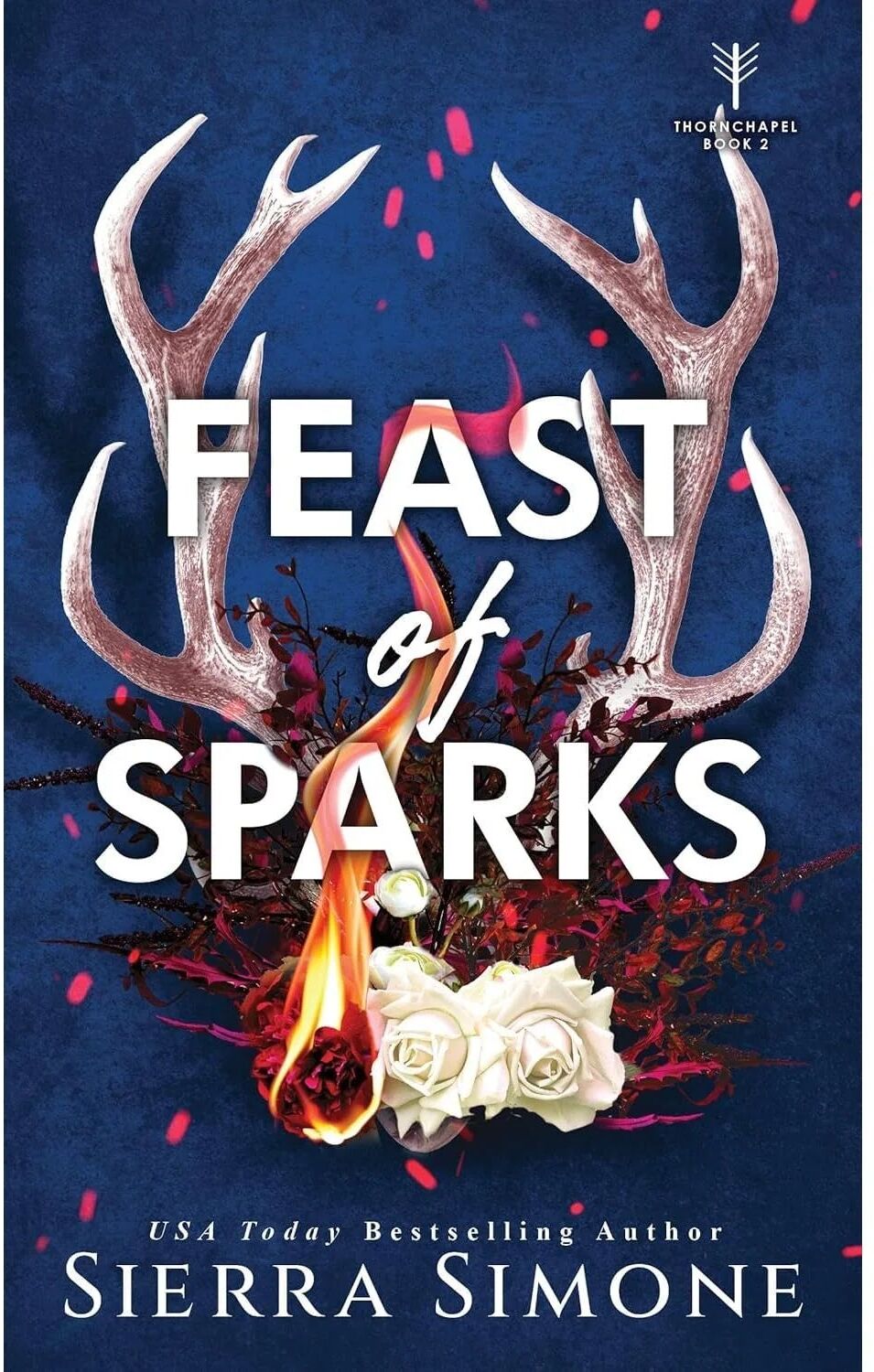 Bloom Books Thornchapel Series 4 Books Collection Set by Sierra Simone - A Lesson in Thorns, Feast of Sparks, Harvest of Sighs, Door of Bruises - New Paperback