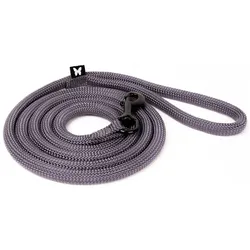 Image Gestreifte Hundeleine (Hund, Spazieren), Halsband + Leine