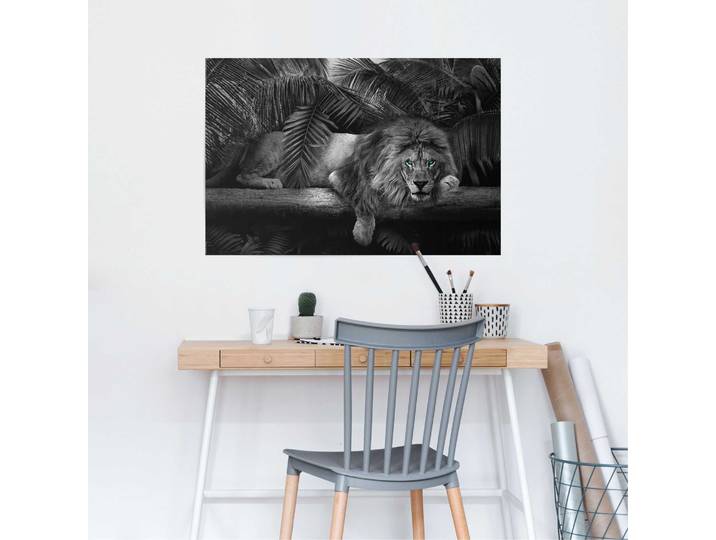 Affiche Regard de lion Papier Noir 61 x 92 x 0cm