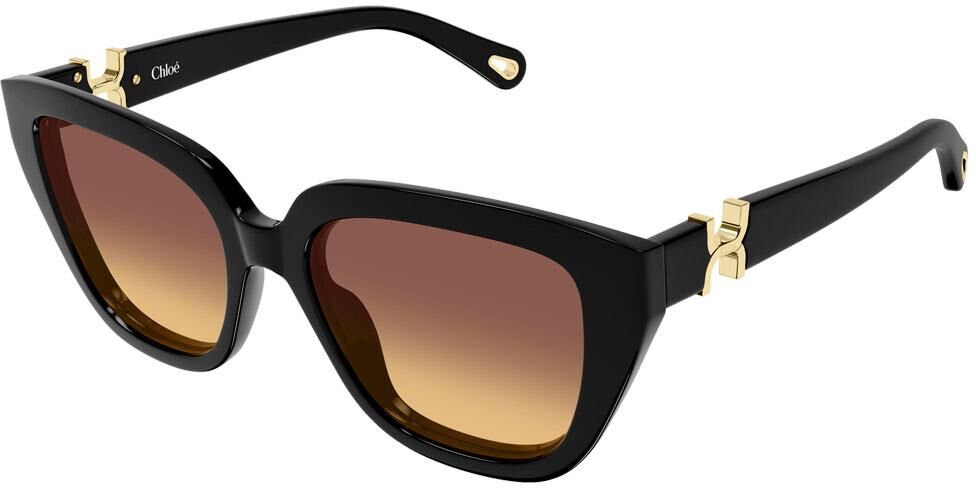 Chloé  - CH0410S 001 Black - Lunettes de soleil
