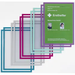 FRANKEN Magnetrahmen ECO, farbsortiert, DIN A4