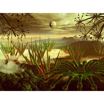 Fototapete PAPERMOON "PLANETEN-FUTURISTISCH WELTRAUM MOND GALAXIE UNIVERSUM", bunt, B:4m L:2,6m, Vlies, Tapeten