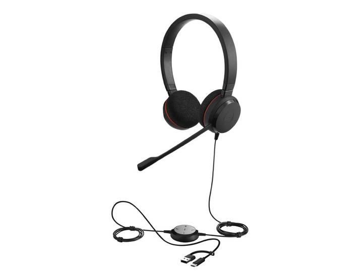 Jabra Evolve 20 MS Duo Casque filaire USB-C / USB-A