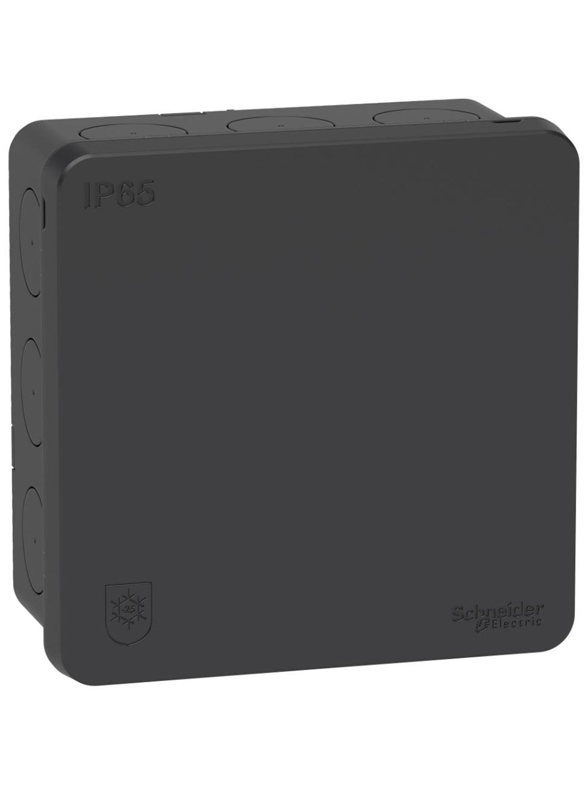 Schneider Electric Mureva Junction box IP65, anthracite