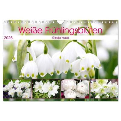 Weiße Frühlingsblüten (Wandkalender 2026 DIN A4 quer), CALVENDO Monatskalender