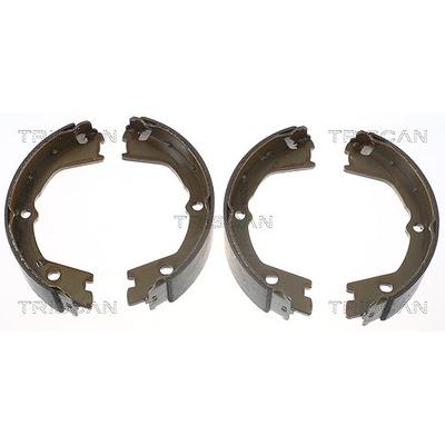 Triscan Bremsbackensatz, Feststellbremse [Hersteller-Nr. 810015019] für Iveco