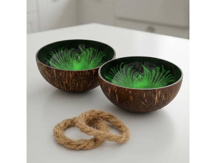 Cocovibes kokosnootschaal Boeddha Bowl Decoratieve schaal - gelakt, handgemaakt en milieuvriendelijk
