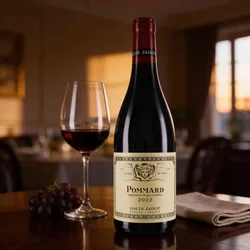 Maison Louis Jadot 2022 Louis Jadot Pommard 2022 Pinot Noir Frankreich