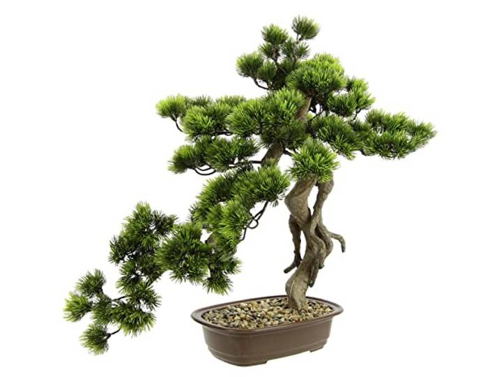 Bonsai Baum in Schale Kunstbonsai Kunstbaum Dekobaum künstlich Japanische Kunstpflanze Grünpflanze Dekobaum wie echt groß Deko Pflanze Pflanzendekoration Bonsaischale exotische Bäume Zen Garten, Groß