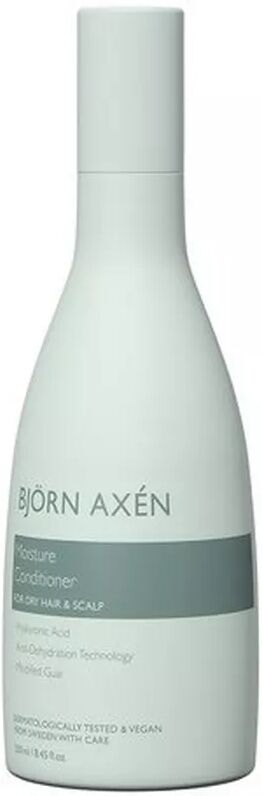 BJOERN AXEN - Moisture Conditioner, 250 ml