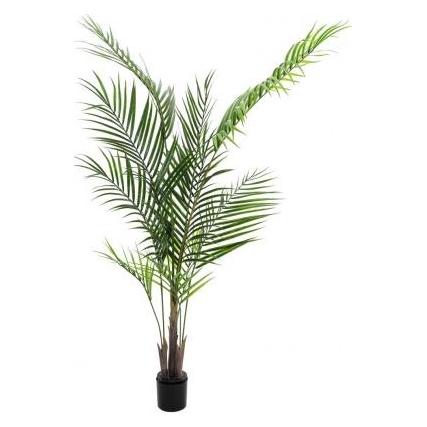 Europalms Grossblatt-Areca, Kunstpflanze, 165cm (165 cm) (82509441)