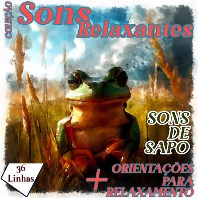 Coleção Sons Relaxantes - sons de sapo - Silvia Strufaldi, Audio, 9798868687655