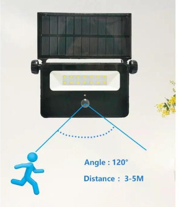 Struhm Projecteur Solaire LED 2W avec détecteur de mouvement - Blanc Froid 6000K - 8000K
