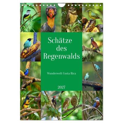 Schätze des Regenwalds (Wandkalender 2027 DIN A4 hoch), CALVENDO Monatskalender