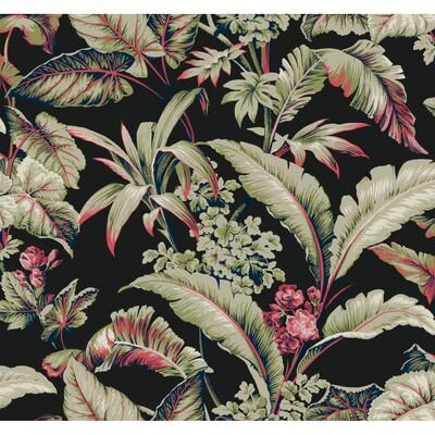 Ronald Redding Mystic Isle Black Wallpaper